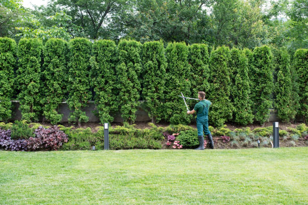 Best Tree Mulching Services  in Santa Ynez, CA